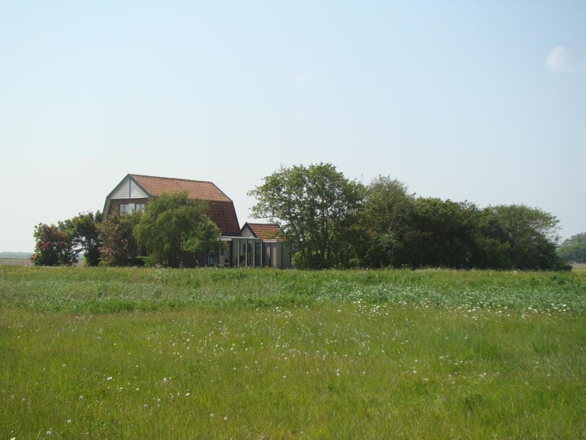 B&B Zuiderkreek De Cocksdorp  Εξωτερικό φωτογραφία
